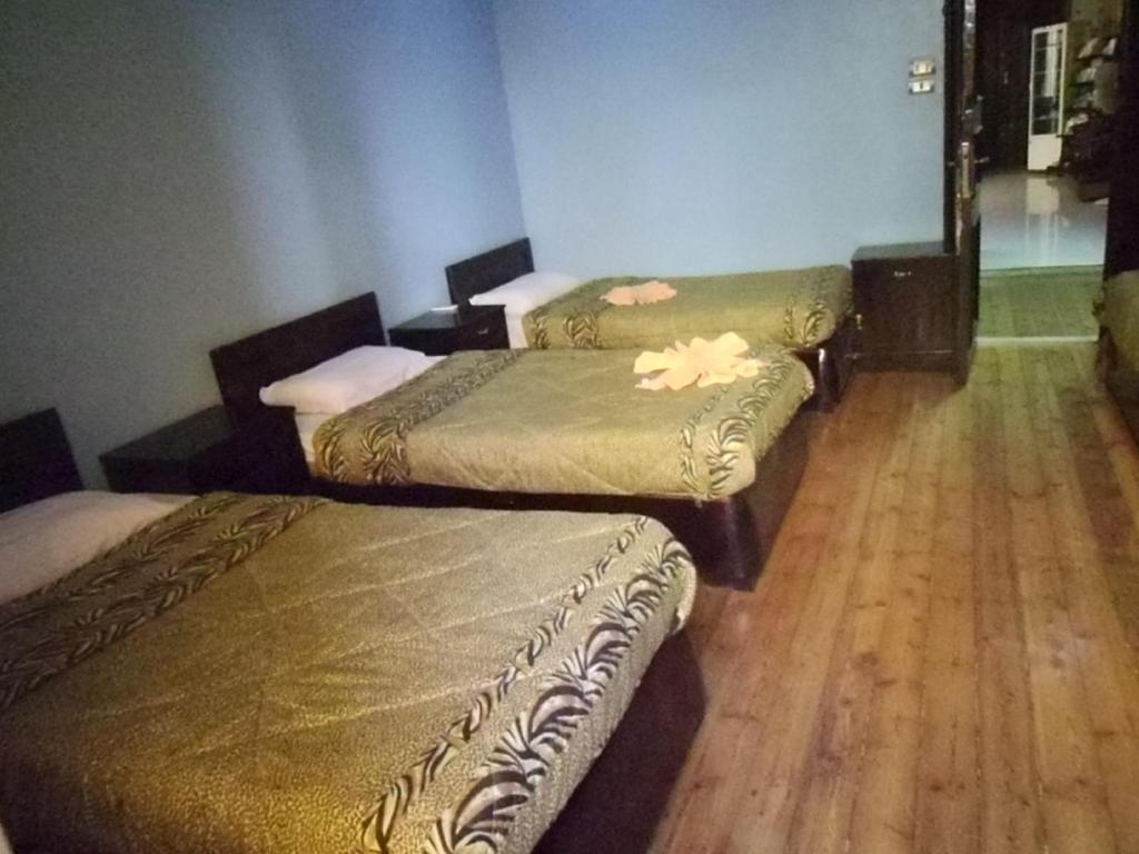 קהיר Freedom Hostel מראה חיצוני תמונה